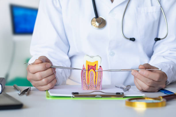 Best Pediatric Emergency Dentist in Tiffin, IA